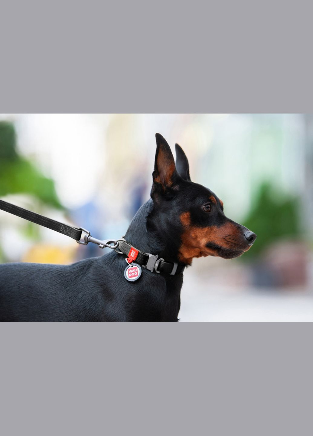 Ошейник для собак водостойкий Waterproof c QR-паспортом, металлическая пряжка-фастекс, Ш 20 мм, Дл 28-40 см черный WAUDOG (322328201)