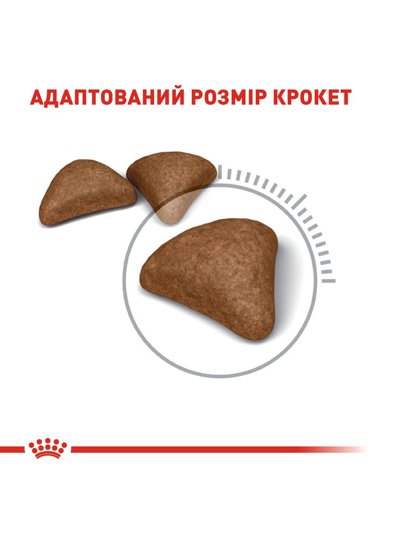 Сухий корм для кішок Hairball Care 10 кг (11401) (0262557721757) Royal Canin (308752624)