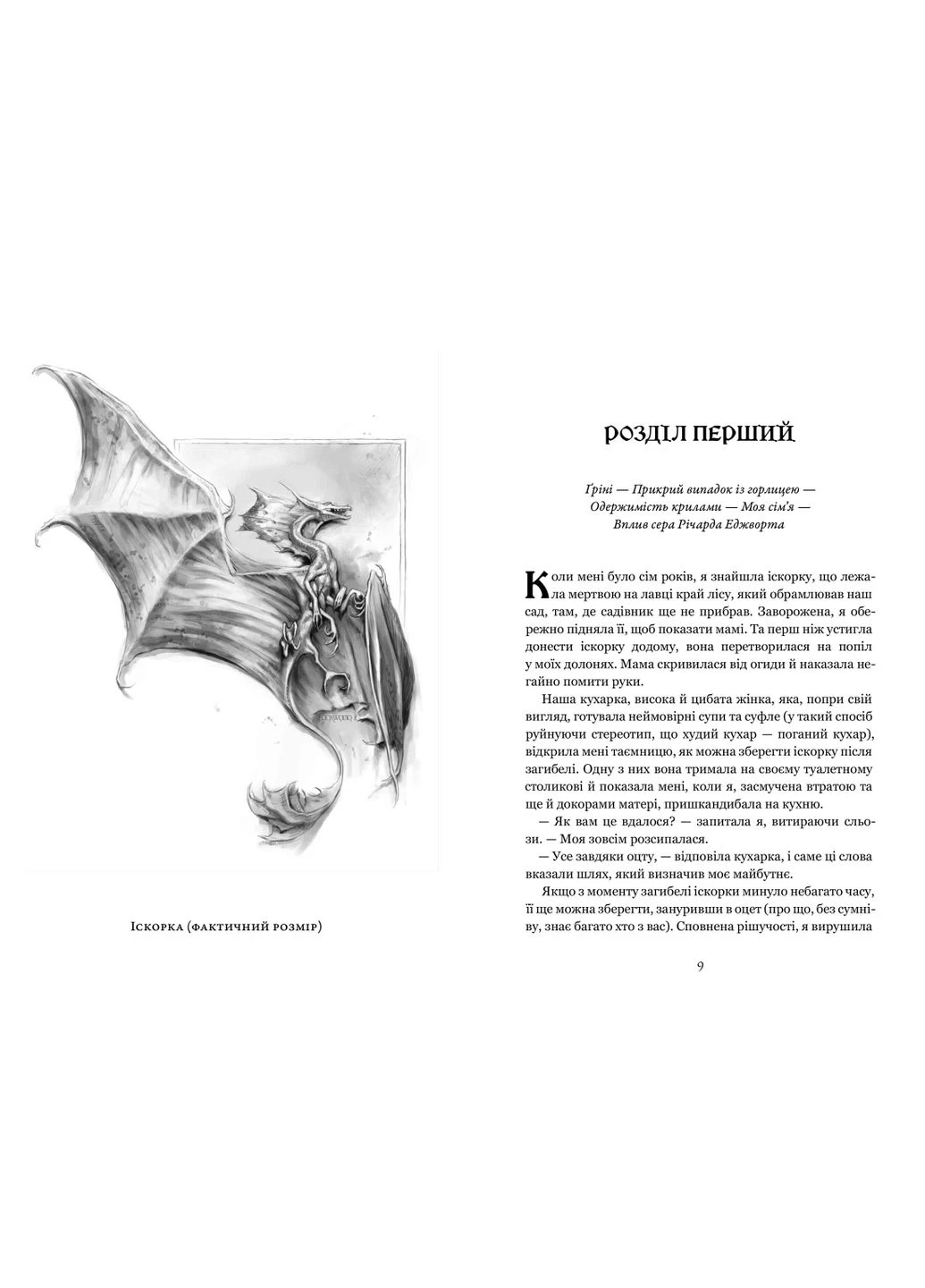 Естественная история драконов. Книга 1 No Brand (385298999)