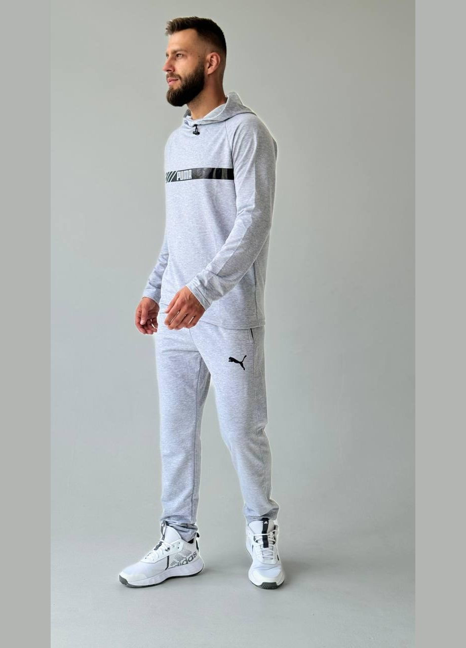 Чоловічий спортивний костюм Puma світло-сірий No Brand (353848852)