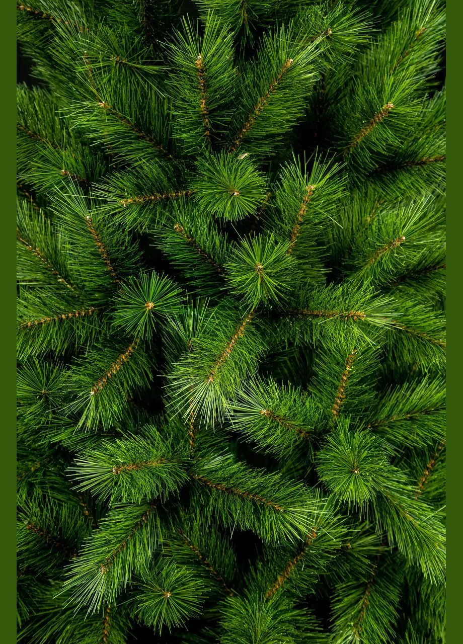 Искусственная Литая Канадская Сосна литые иголки 220 см Kvazar (312015904)