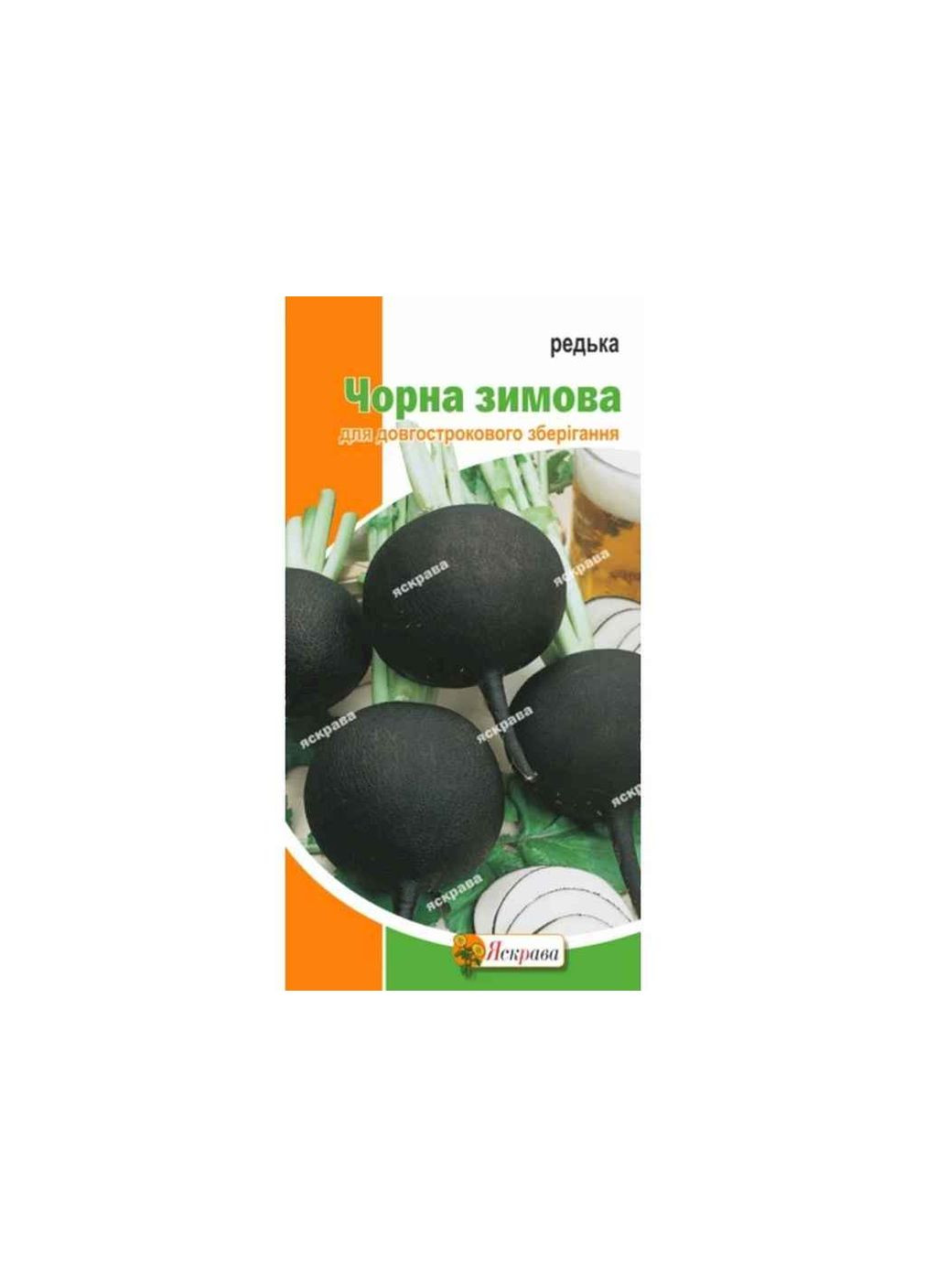 Редька Чорна кругла зимова (20 пачок) 2г Яскрава (367114593)
