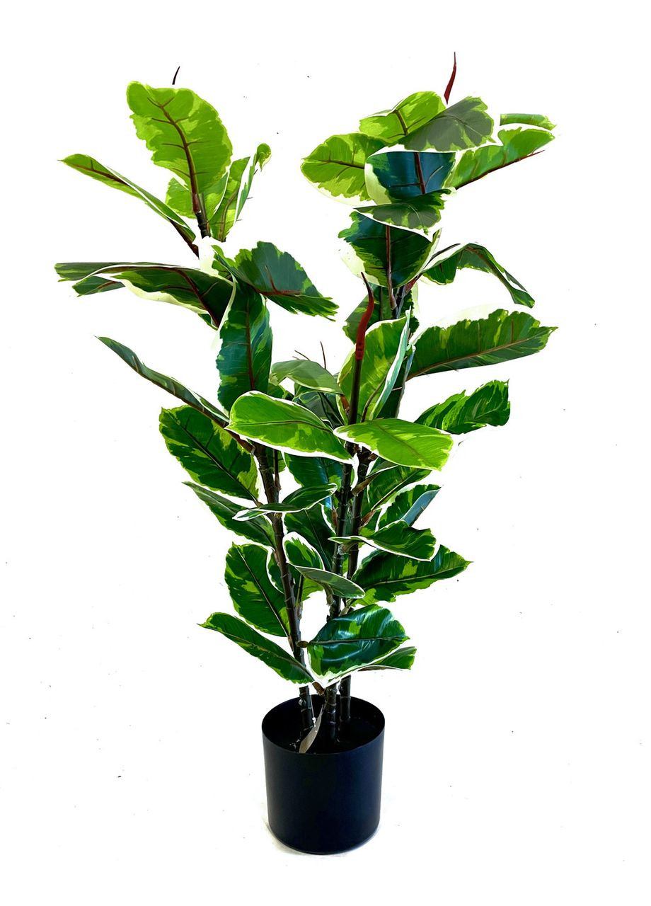 Фікус різнокольоровий SGH Еластіка Беліз (Belize) штучний 95 см HVOYA (370439104)