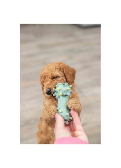 Іграшка Гантель голчаста для собак, 10 см (латекс) (*) Trixie (330747668)