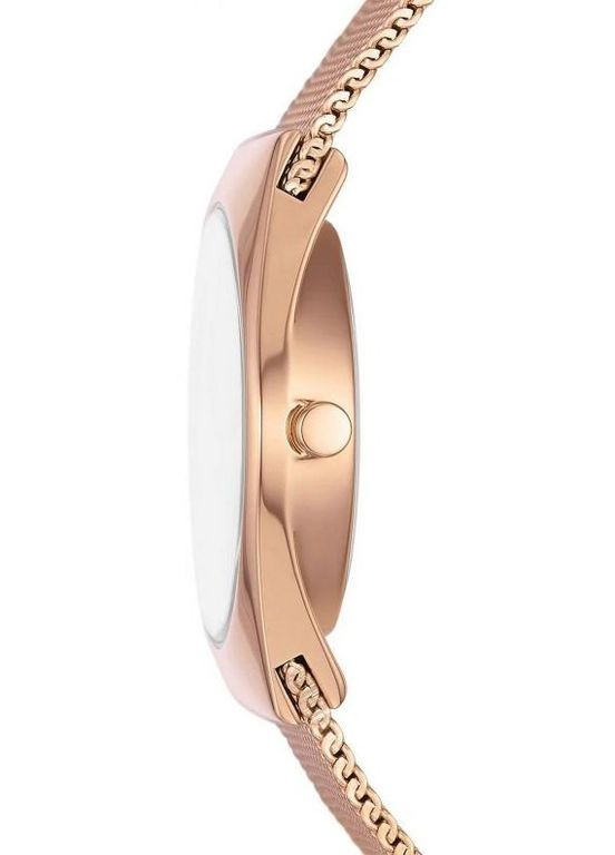 Женские наручные часы Skagen SKW3078 (322688041)