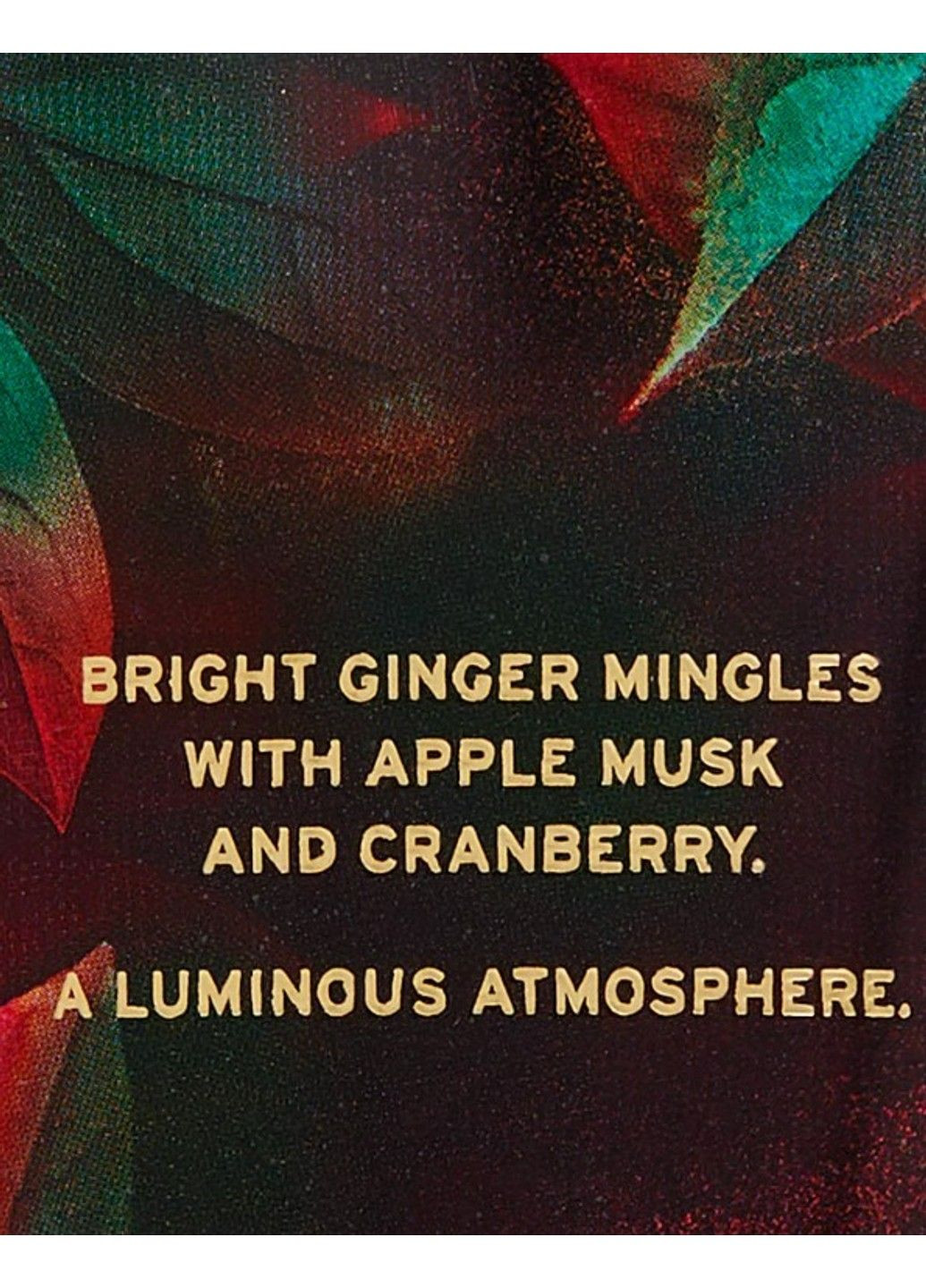 Лосьйон для тіла Ginger Apple Jewel Fragrance Lotion Victoria's Secret (317393131)