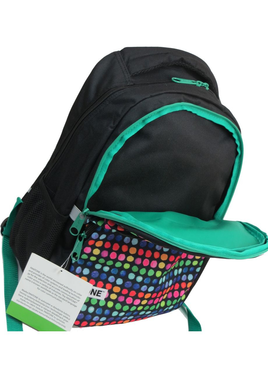 Молодежный рюкзак 00-699PAN 22L Разноцветный Paso (298285278)