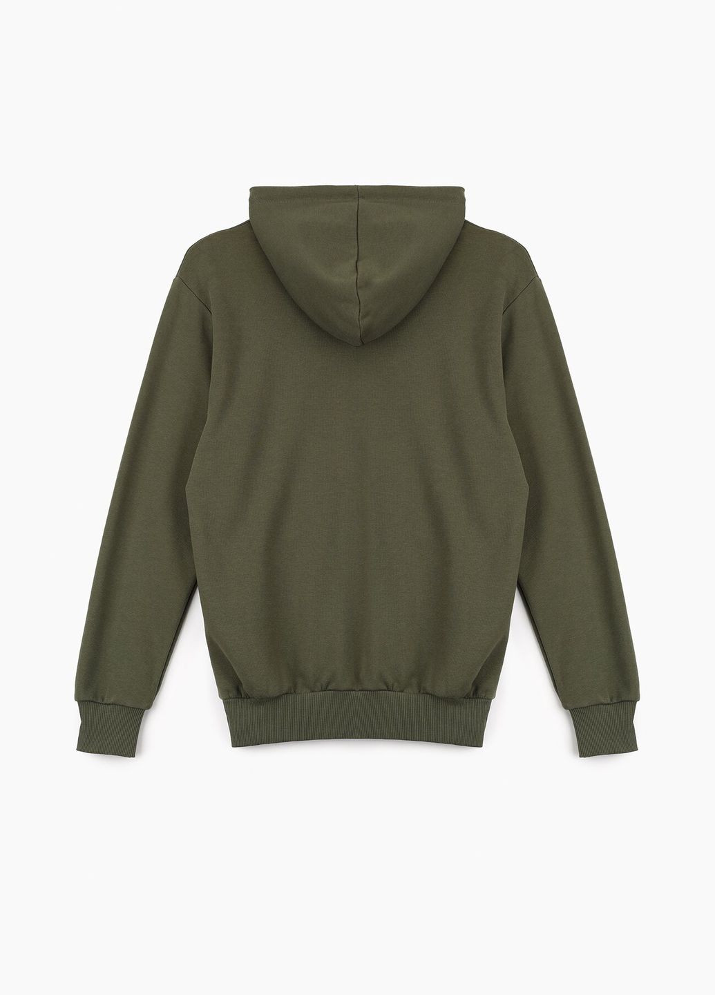 Худи мужской DMS005 baza (2000989425601D) shop (2000989425601) Demos (258670528)