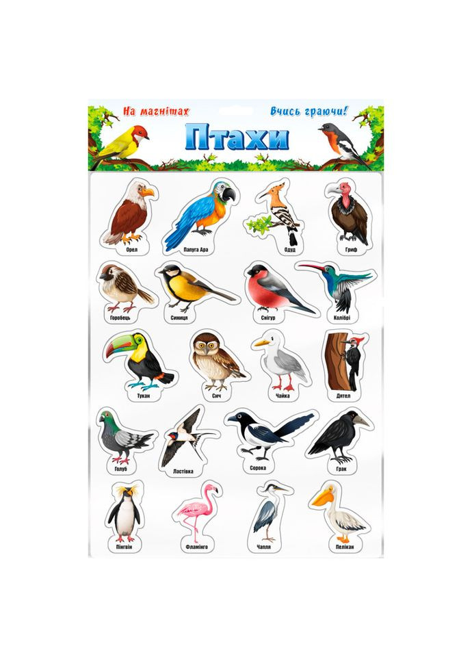 Набор магнитов "Птицы" 1311ATS Artos Games (365640800)