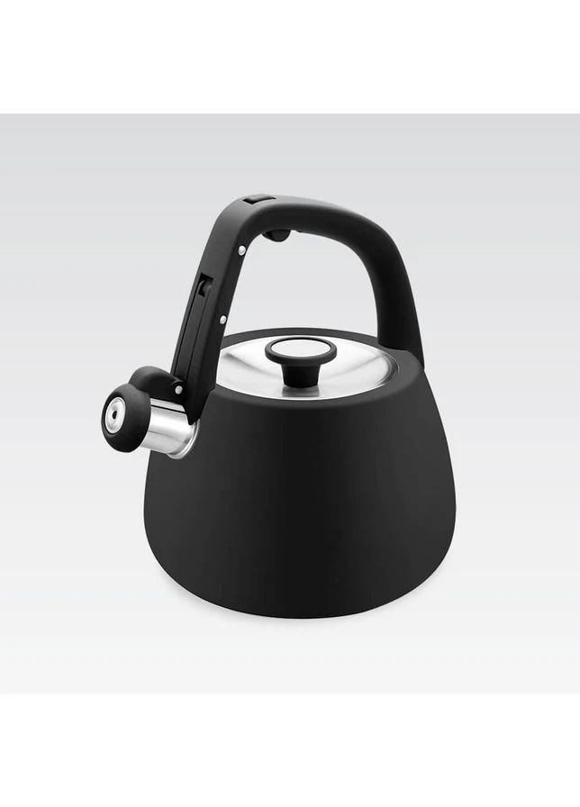 Чайник MR-1318 BLACK Maestro (384029778)