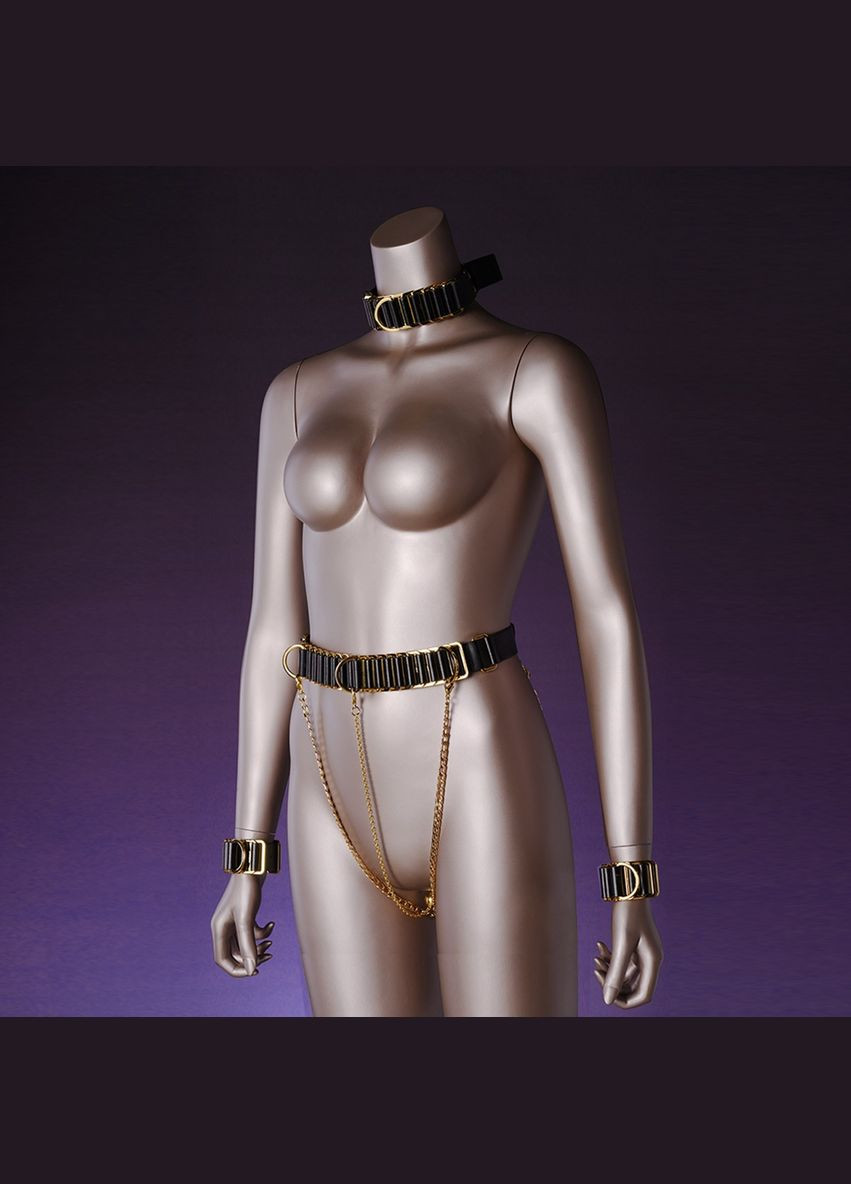 Чокерошейник Indulge In The Restraints с золотой фурнитурой, кожа, черный UPKO (297398130)