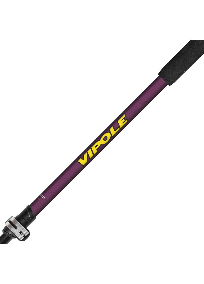 Палки трекинговые Base Camp Violet DLX (S25 08) Vipole (372018860)