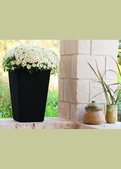 Горщик для рослин Medium Rattan Planter сірий Keter (329407730)