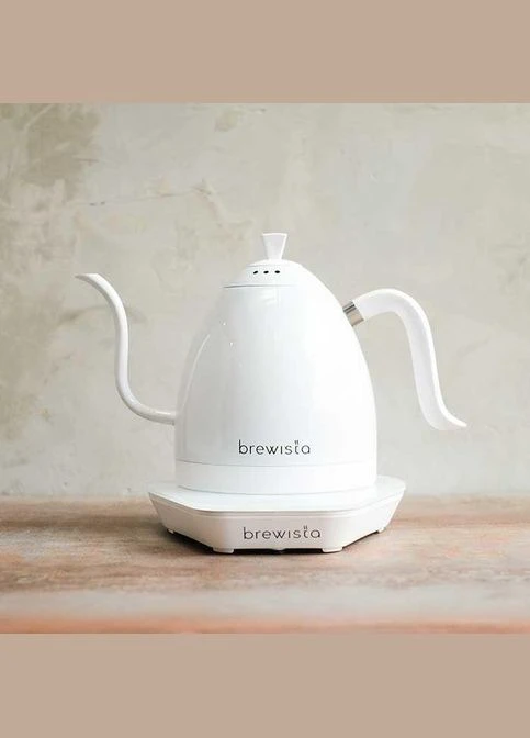 Чайник Brewista белый Artisan Matte White 1000 ml (R-BA10VKVDE-PWW-VS) No Brand (303348884)