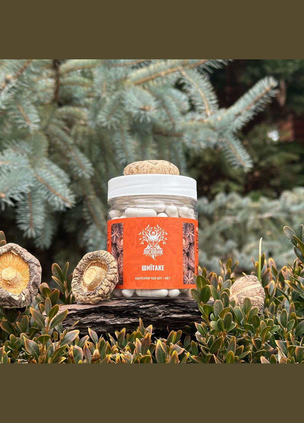 Шиїтаке, капсули 120 шт по 0.4 г Лісовик (334292886)