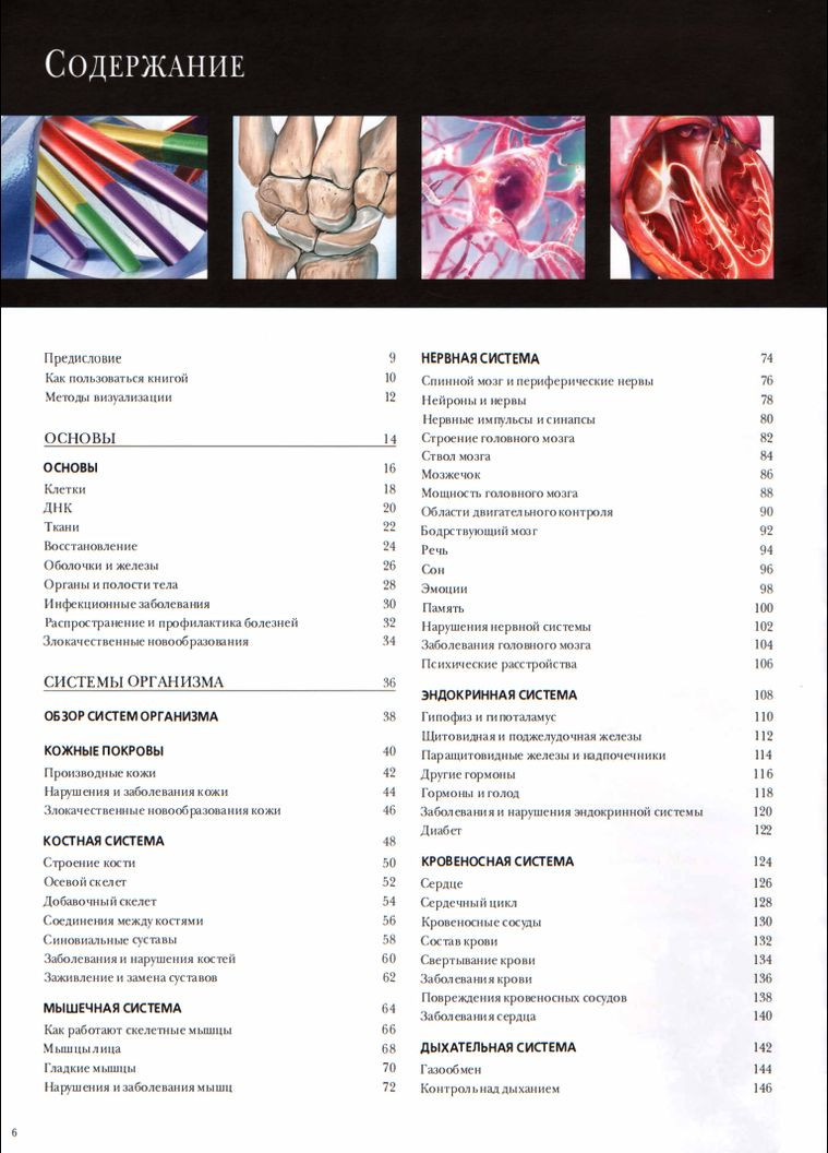 Иллюстрированный атлас анатомии человека. Лестница МакМиллан No Brand (366970887)