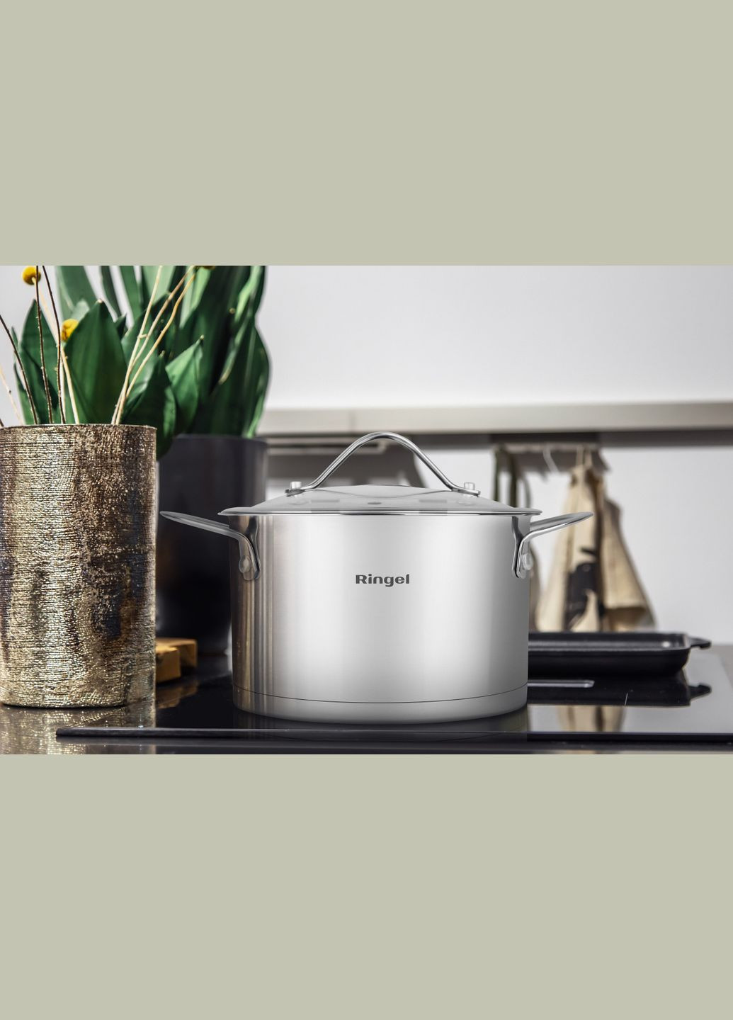 Кастрюля Fusion 20 см 3.6л (6733718) Ringel (314747056)