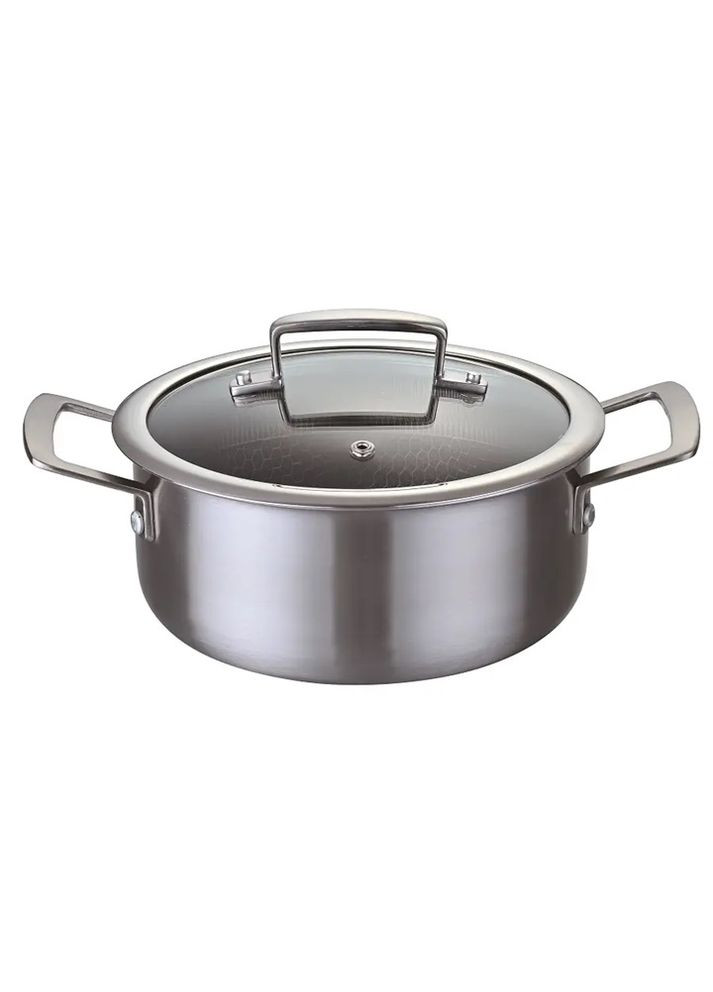 Кастрюля с крышкой BH-4100-20 20 см 2.8 л серебристый Bohmann (348133852)