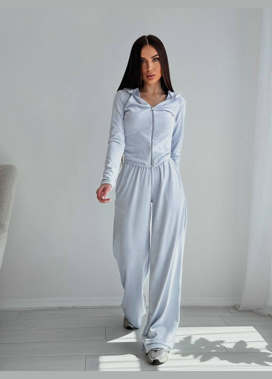 Жіночий велюровий костюм Україна (332979831)