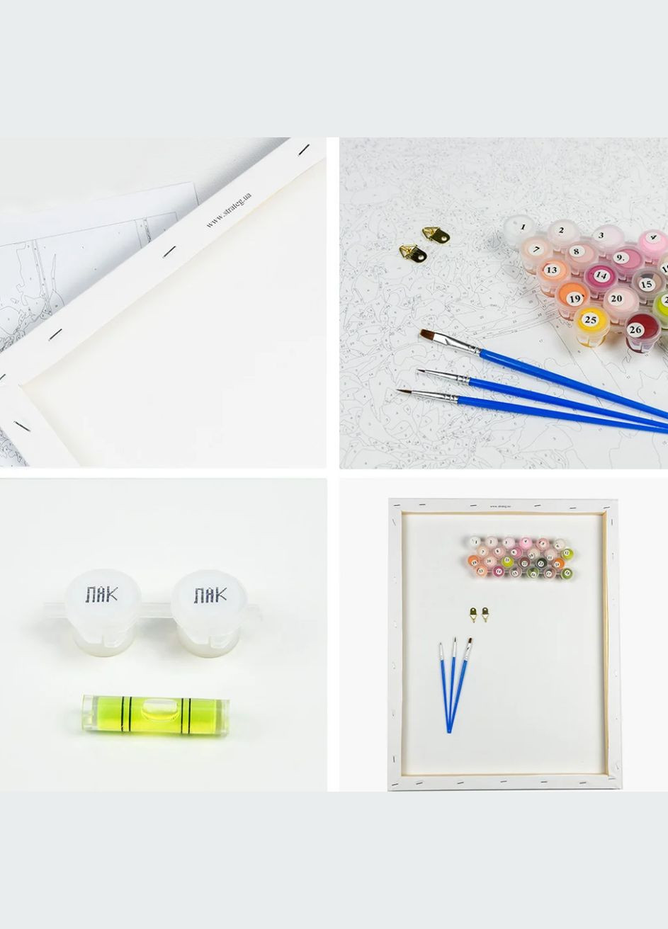 Картина по номерам ПРЕМИУМ Поп-арт глаза (с лаком и уровнем) 40х50 см SY6921 () Strateg (328946300)