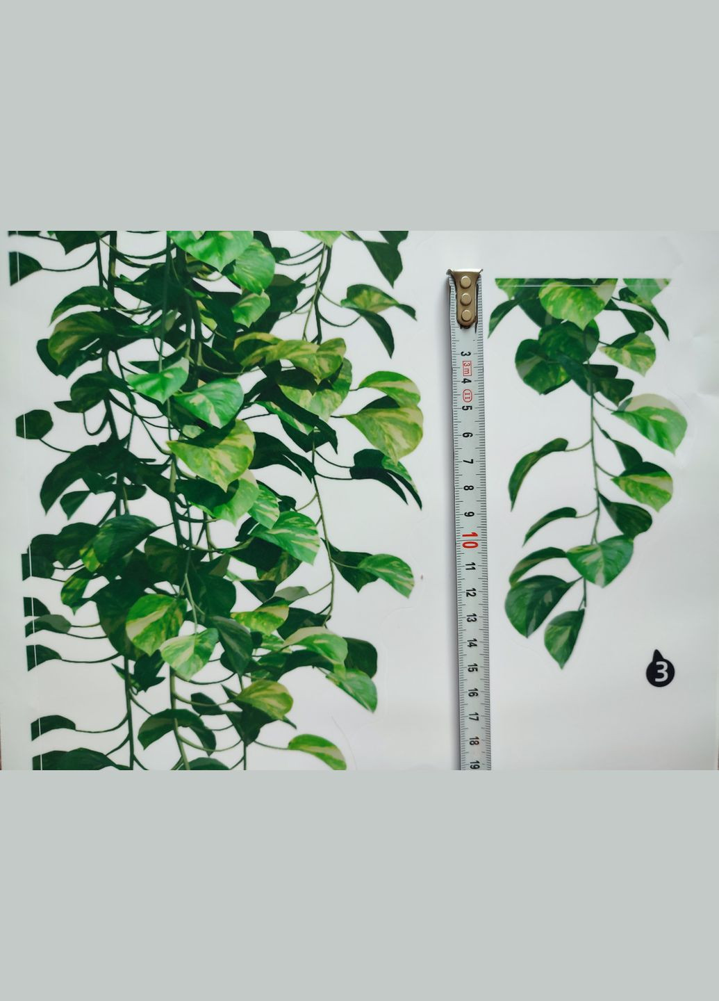 Наклейка на стіну Різнобарвні рослини, що звисають (лист 60 х 90 см) Б296-24 No Brand (302242833)