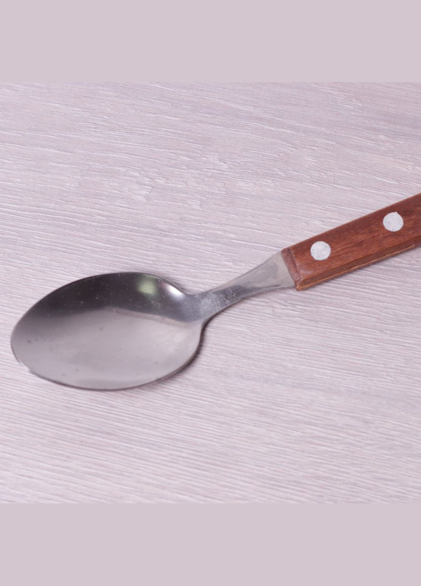 Набір столових ложок 6 шт з нержавіючої сталі з дерев'яними ручками Kamille (303211800)