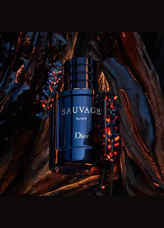 Парфумована вода Dior (278773689)