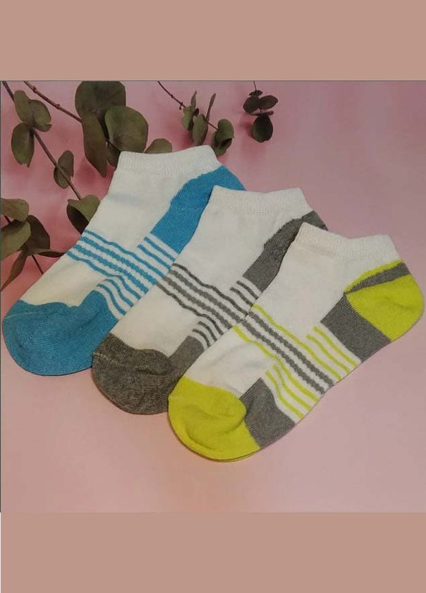 Комбіновані шкарпетки жіночі короткі 6 пар ws 201/6 р.36-40 XTeam смужки (351581661)