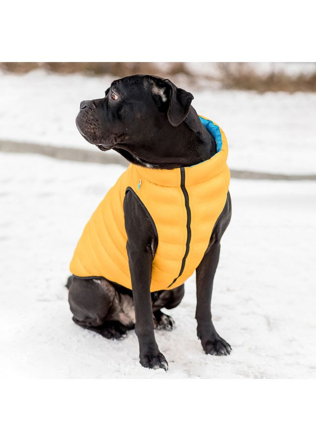 Двухсторонняя курточка AiryVest для собак, "Colors of freedom", размер L 65 Том.М (363058185)