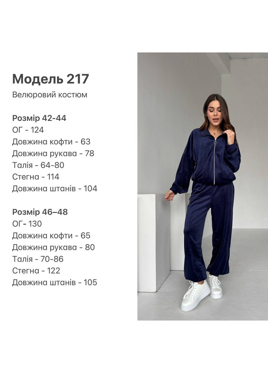 Жіночий якісний велюровий костюм на блискавці No Brand (322288904)