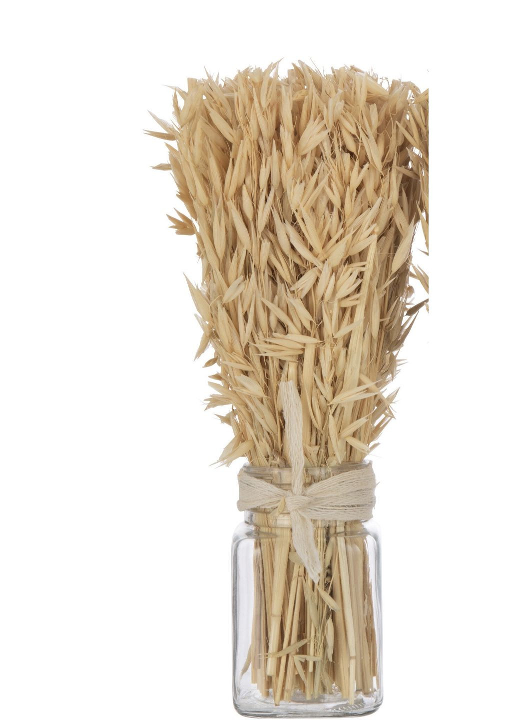 Сухоцветы трава овес в букете бежевого цвета высота 30 см. Бельгия (33003) J-Line (303354212)
