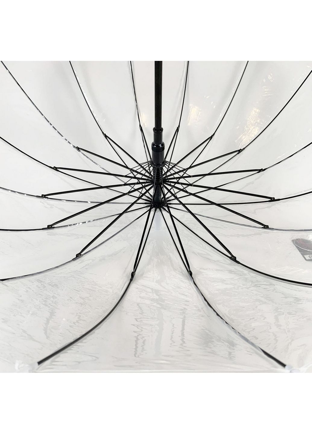 Прозора парасолька тростина Toprain (279311206)