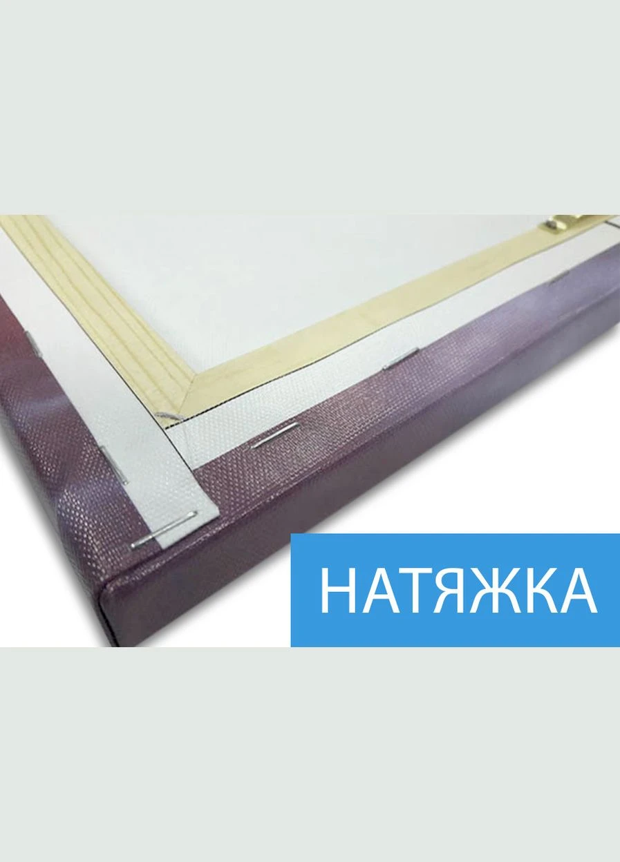 Картини купити модульні, на Полотні нат., 80x80 см, (mk19MN_bb00083) Декоинт (322419671)