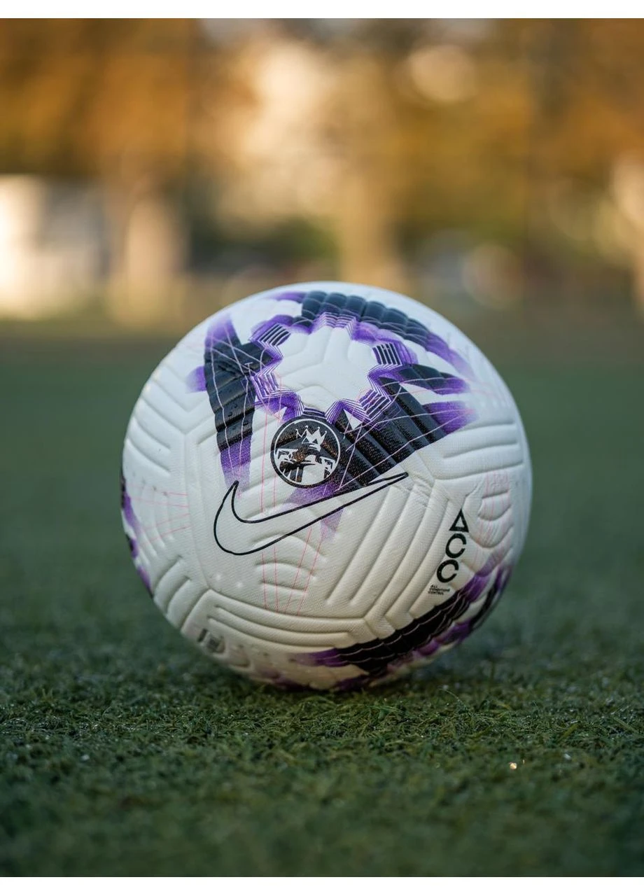 Футбольный мяч Premier League Flight Nike (387142700)