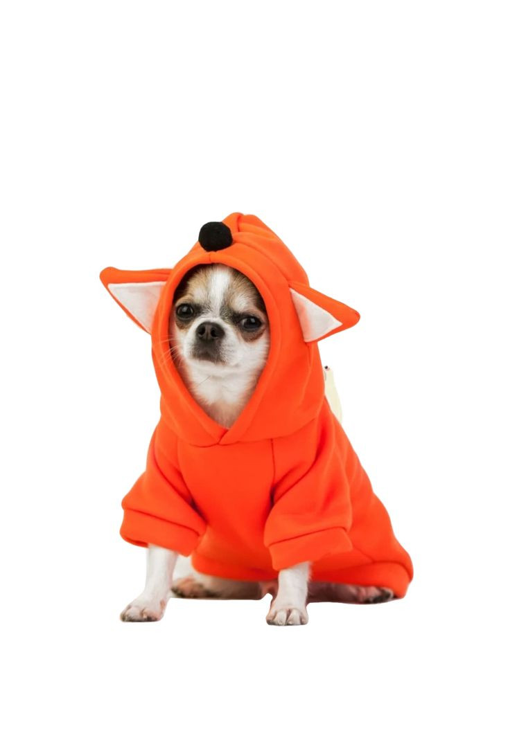 Худые капюшон с ушками XS (20*30см) Україна ТД (368709783)