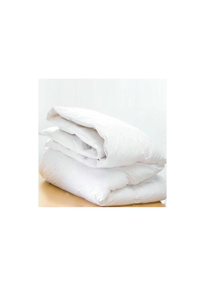 Одеяло пуховое Raffaello 052 зима 220x240 см (2200005895047) Mirson (315027952)