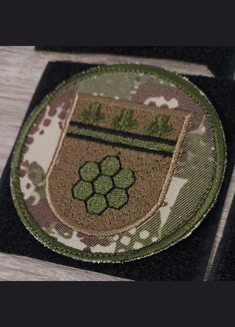 Шеврон Національна Гвардія України Нетішин ВЧ 3043 (хижак) No Brand (336381962)