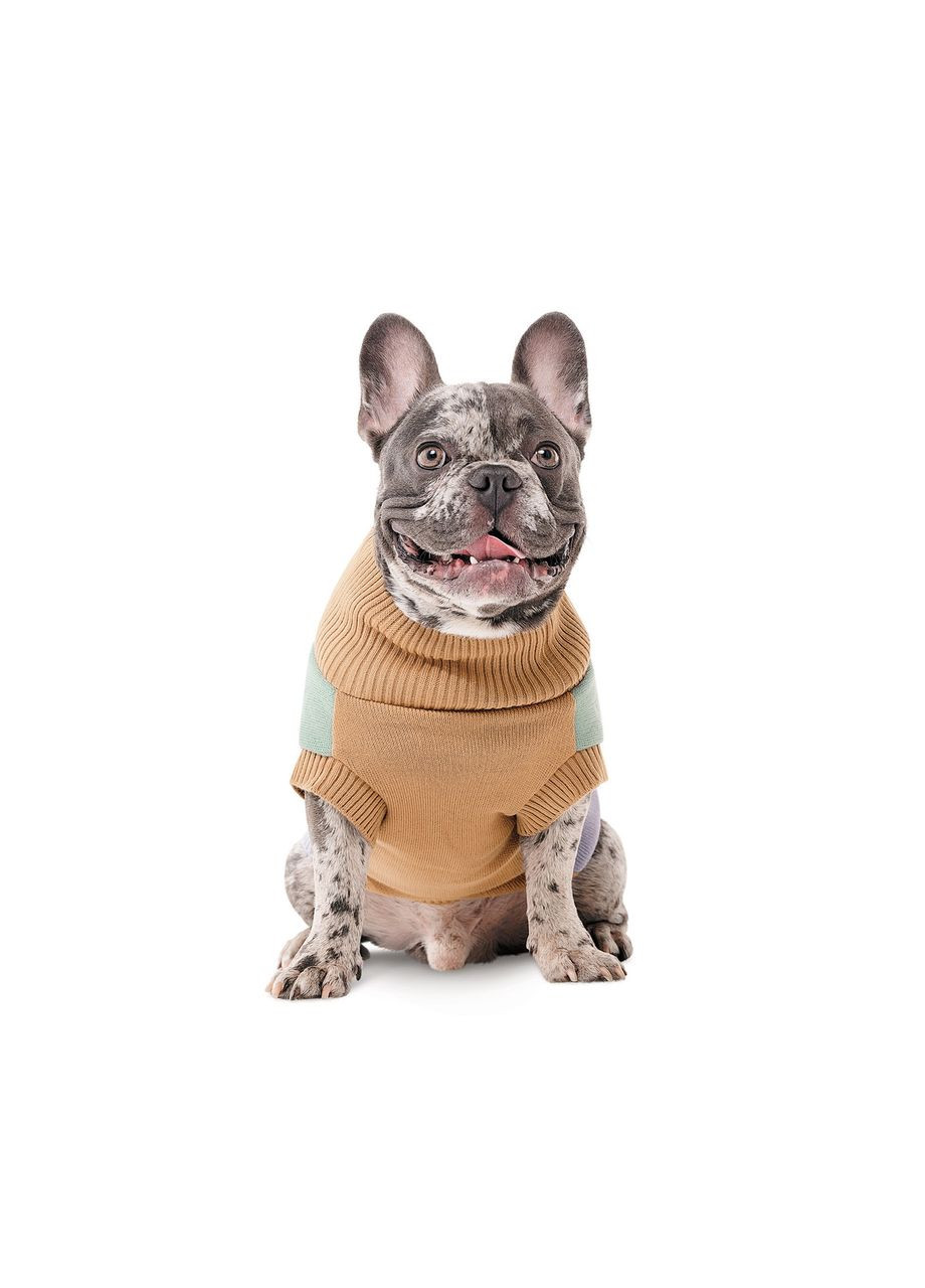 Свитер вязаный Rich для собак корги L Pet Fashion (365593191)