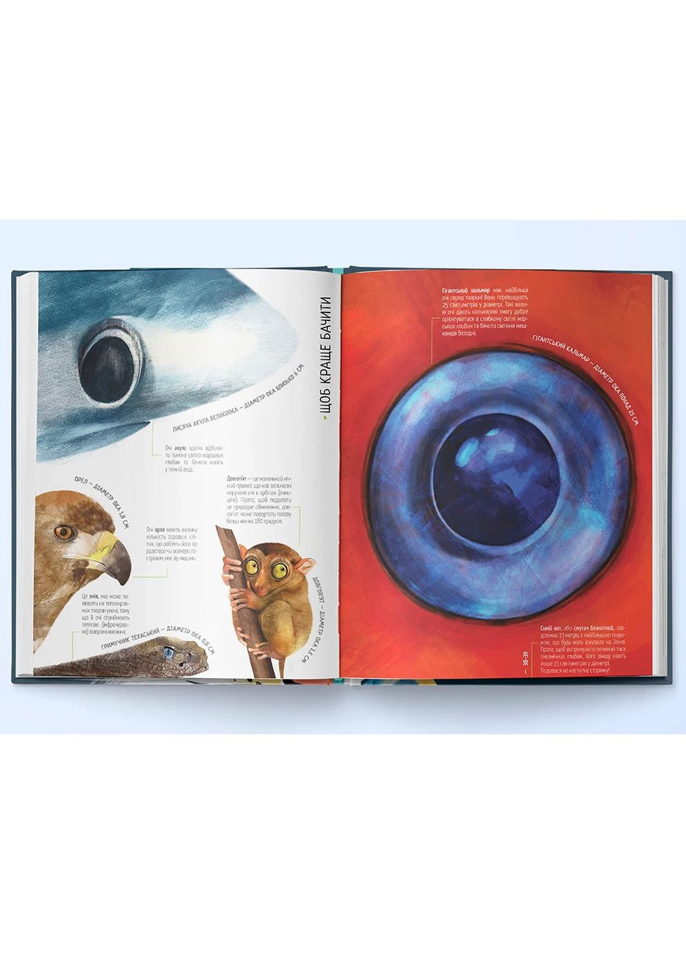 Тварини на всі 100% Nebo BookLab (370103174)