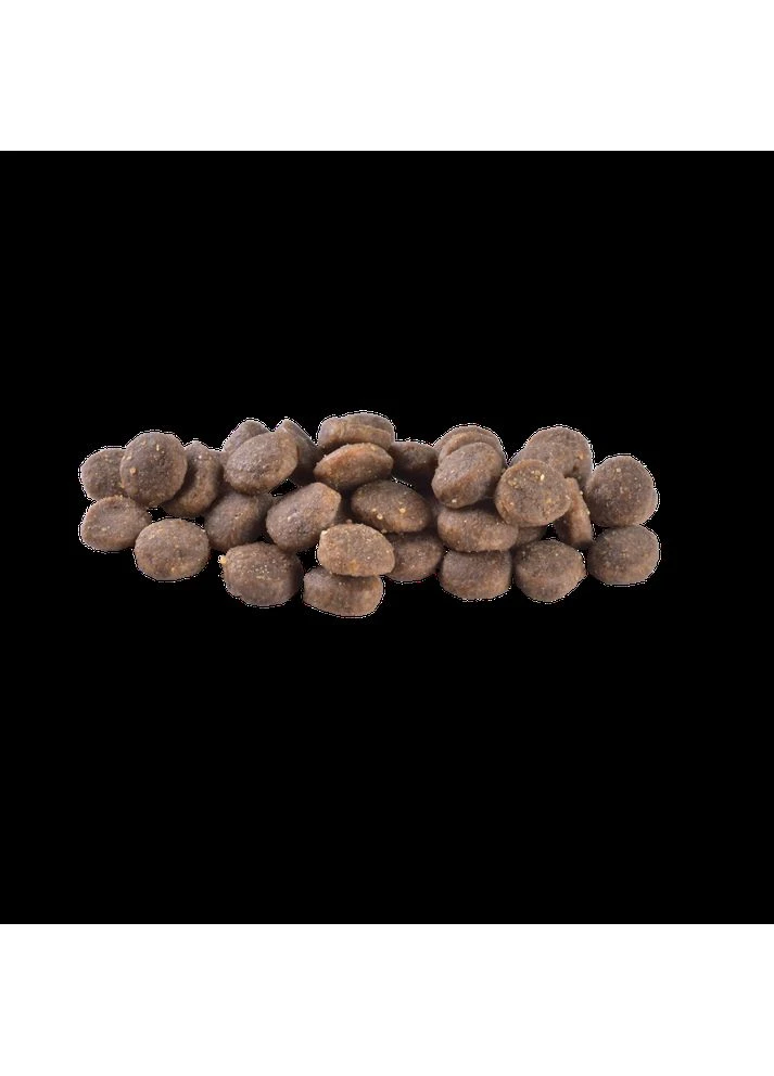 Корм сухой Dog Grain-free Puppy для щенков беззерновой с лососем 12 кг Brit Care (393977666)