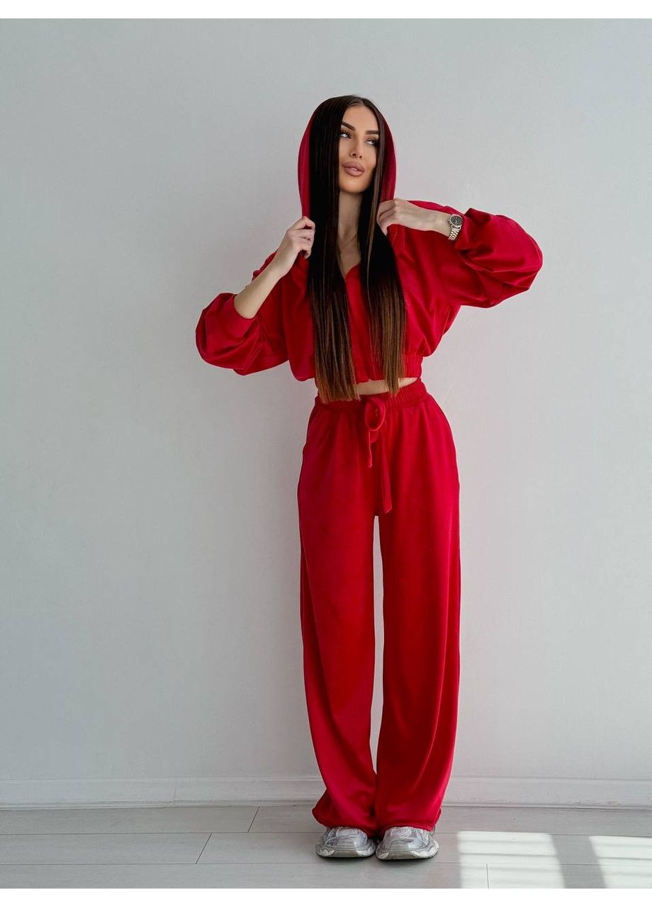 Жіночий велюровий спортивний костюм No Brand Г1469-1218 (356568379)