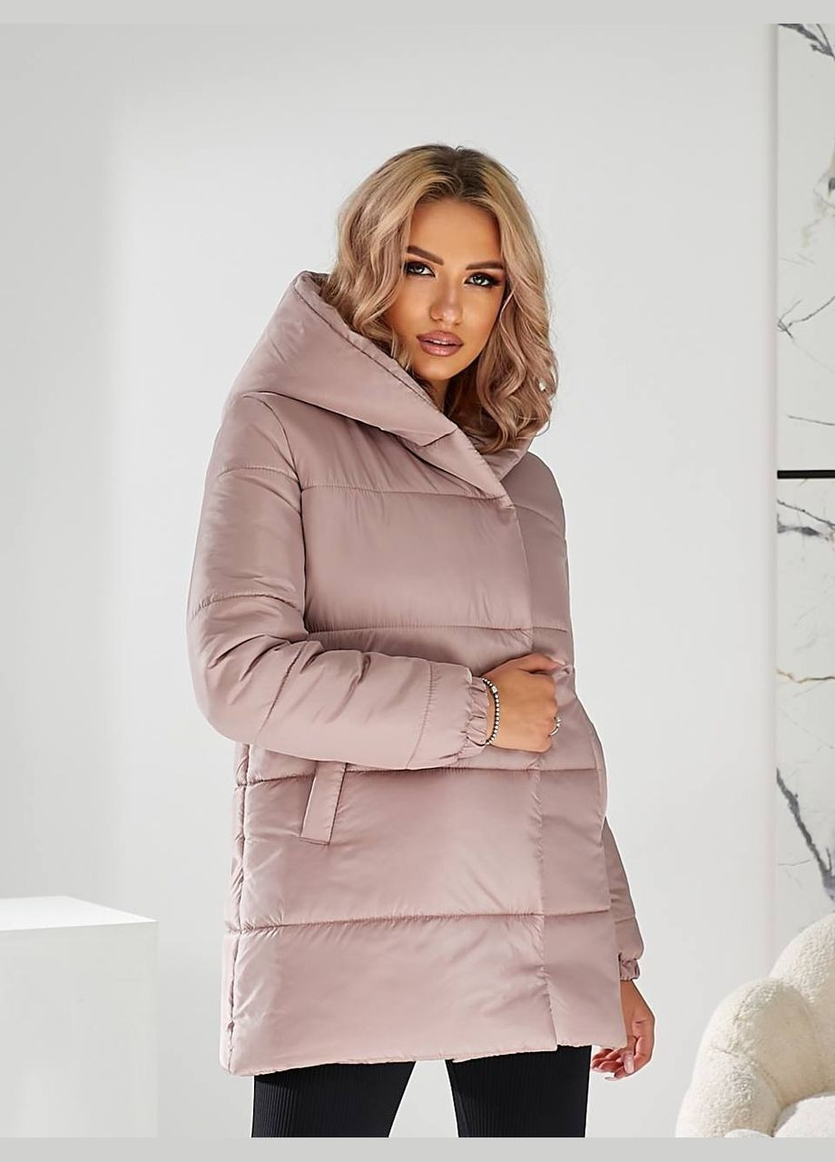 Пудровая новинка зимняя куртка с капюшоном No Brand