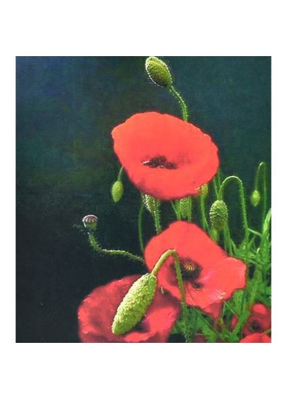 Алмазная мозаика Красный мак Strateg для творчества и релаксации 5D ProDobro (367090785)