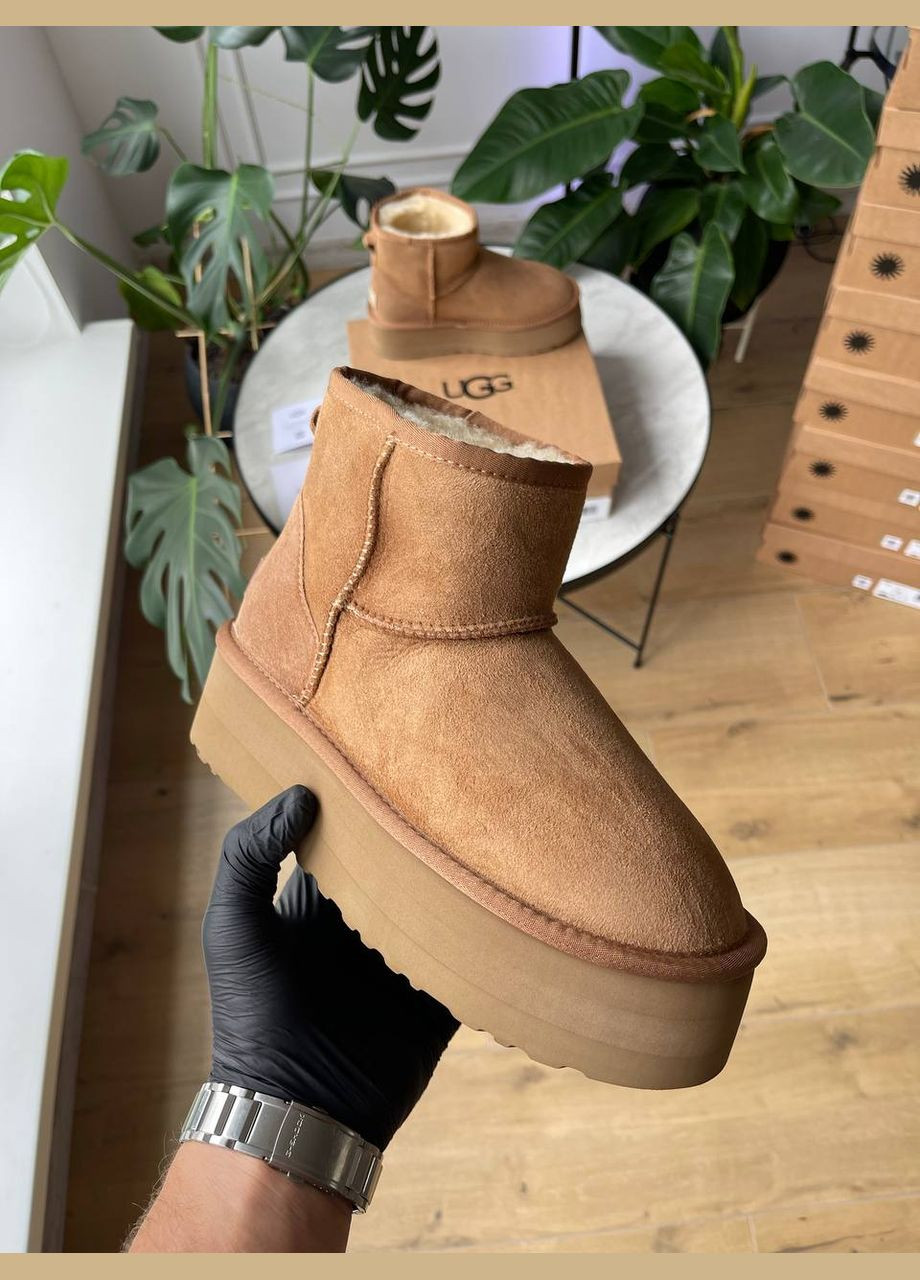 Уггі Vakko UGG Mini Platform Chestnut (302224031)