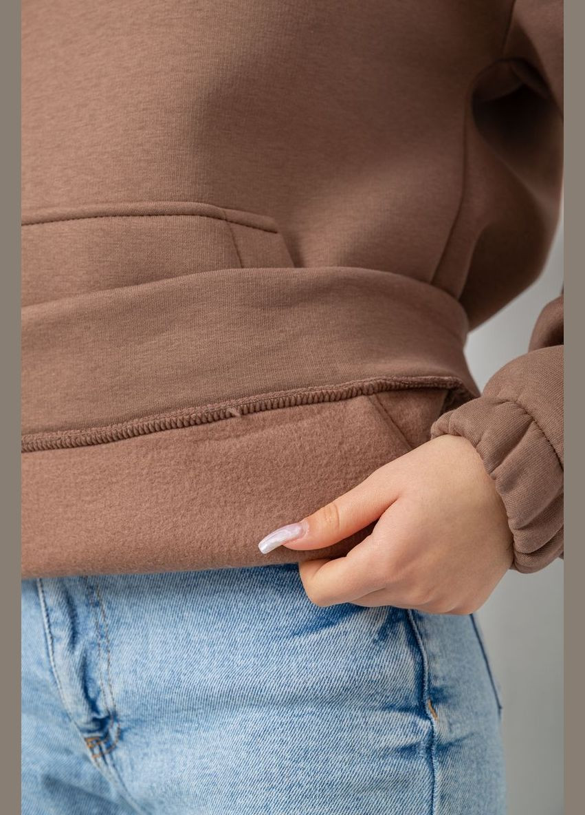 Худі жіноча тринитка на флісі,, 102R364 Ager (317432851)