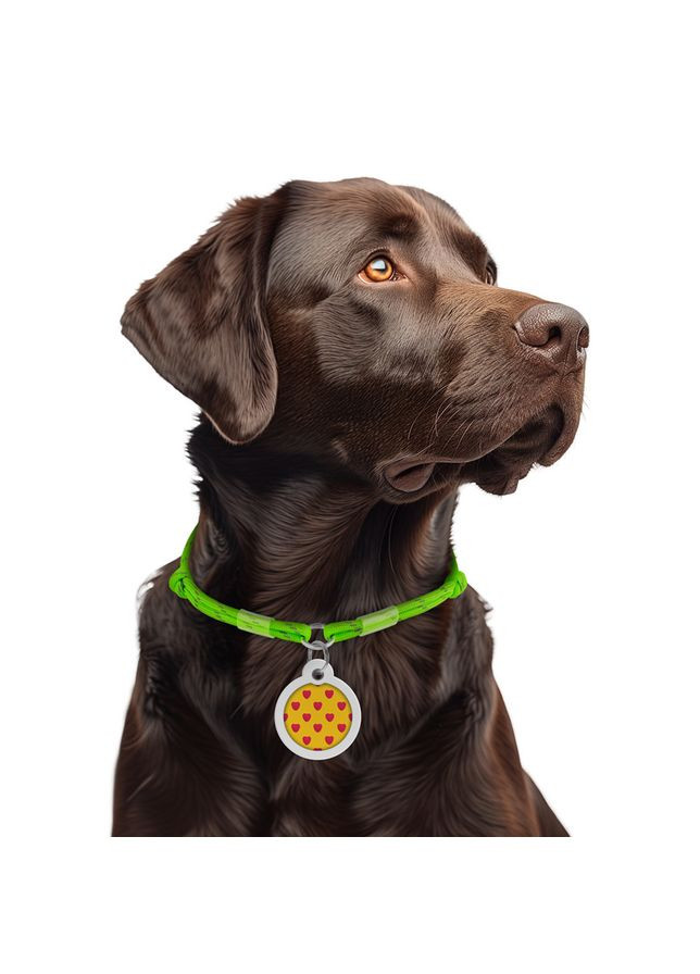 Шнурок для адресника из паракорда Smart ID, светоотражающий, размер, диаметр 4 мм, длина 42-76 см салатовый WAUDOG (363198601)