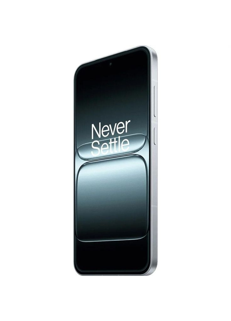 Смартфон 13T 12/256Gb Gray NFC Color OS CN OnePlus (366831345)