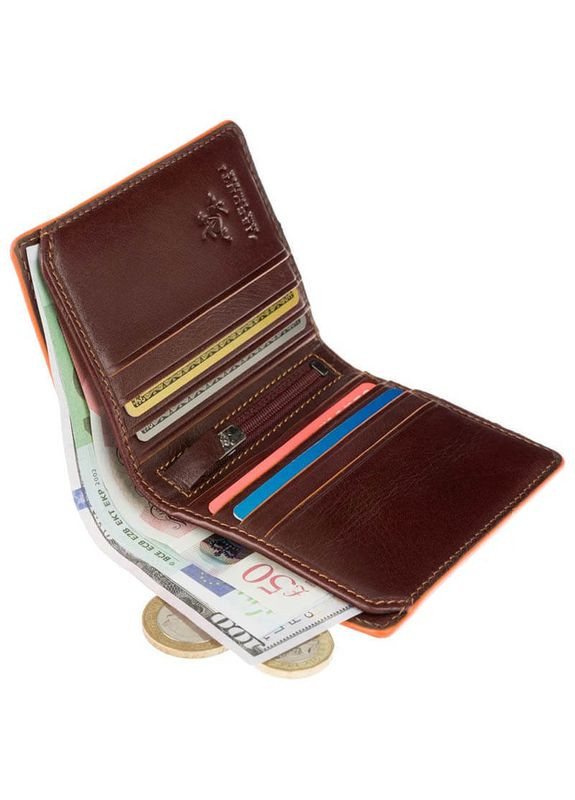 Кошелек мужской ALP92 Tignes Brown (ALP92 BRN) Visconti (324265413)