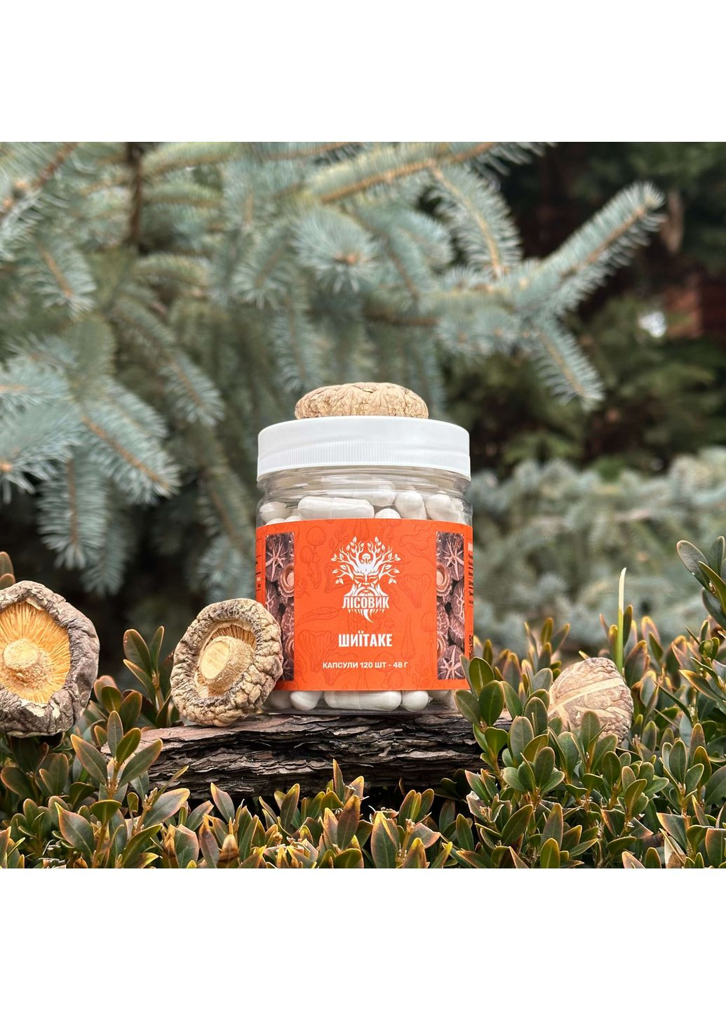 Шиитаке, капсулы 120 шт по 0.4 г Лісовик (334711170)