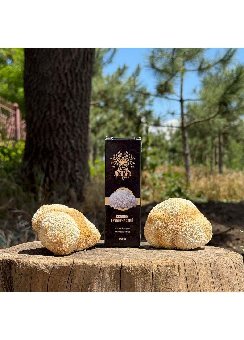 Жидкий экстракт Ежовика гребенчатого 30 мл Лесовик Лісовик (364210571)